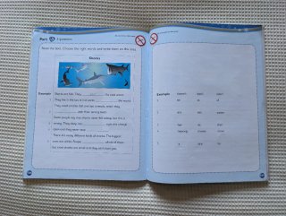 Libro de inglés Kids Box 4° Primaria Pupils Book