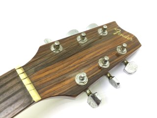 E1203332-0 GUITARRA ACUSTICA FENDER F220-SB
