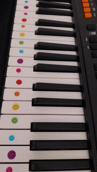 Teclado Casio CT-S100 con funda