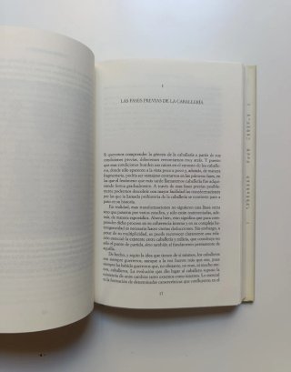 La caballería y el mundo caballeresco.