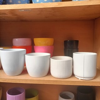 Vaso per Pianta