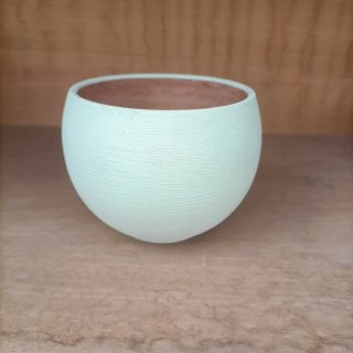 Vaso per Pianta