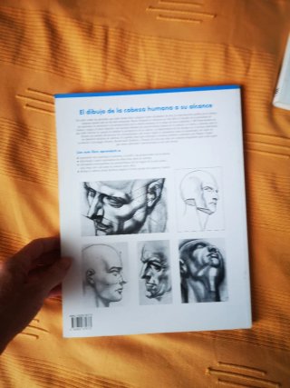 El dibujo de la cabeza humana a su alcance