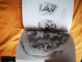 El dibujo de la cabeza humana a su alcance