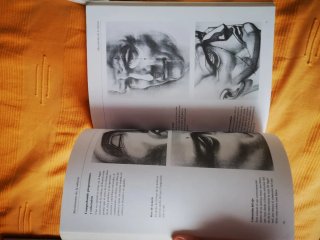 El dibujo de la cabeza humana a su alcance