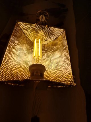 Armario de cultivo interior