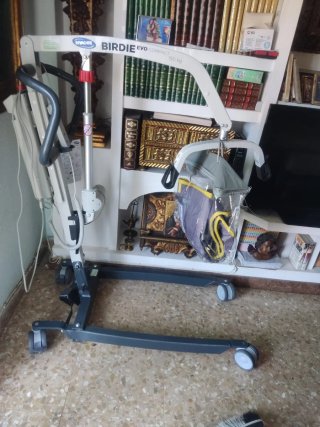 Grúa movilidad reducida