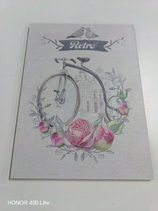 2 Cuadros Decorativos Vintage Bicicleta Flores