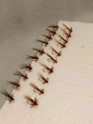 Moscas secas pesca trucha