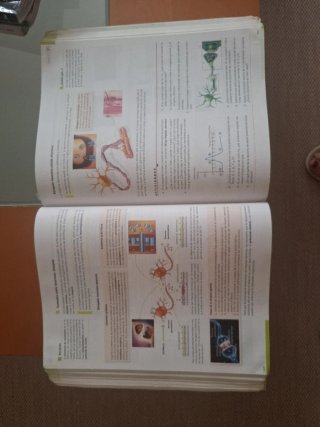 Biología, Geología y Ciencias Ambientales 1o Ba...