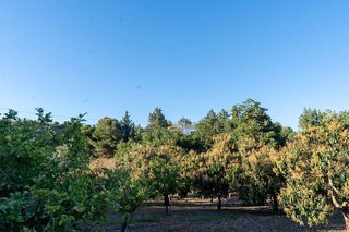 Casa rural en venta en Benajarafe – Almayate en Vélez-Málaga