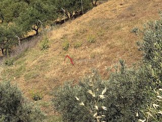 Casa rural en venta en Pizarra