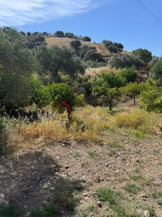 Casa rural en venta en Pizarra