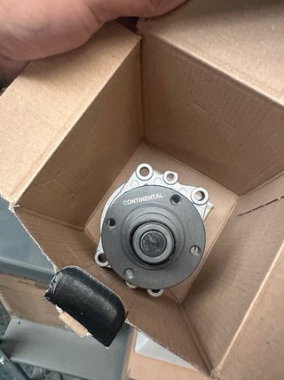 Bomba de agua Continental BMW E36 M50 M52