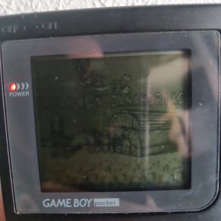 Bugs Bunny Operation Carrot Patch GameBoy + Funda