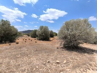 Chalet en venta en Caudete