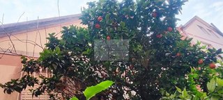 Chalet en venta en Moaña