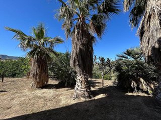Casa rural en venta en Monóvar/Monòver
