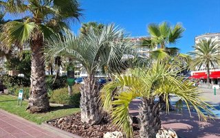 Piso en venta en Casc Antic - Barri dels Pescadors en Lloret de Mar