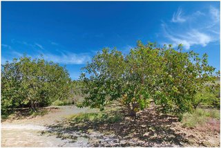 Casa rural en venta en Manacor Centro en Manacor