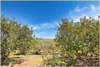 Casa rural en venta en Manacor Centro en Manacor
