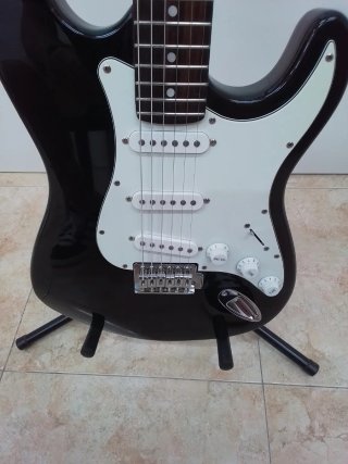 Guitarra Eléctrica SQUILFUL