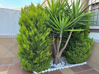 Casa adosada en venta en Las Palmeras-Dehesilla en Sanlúcar de Barrameda