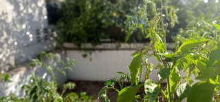 Casa en venta en Rojales en Rojales