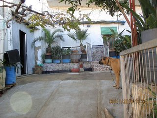 Casa en venta en Rojales en Rojales