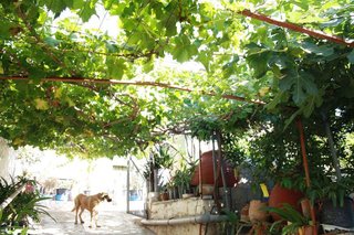 Casa en venta en Rojales en Rojales