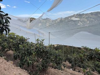 Casa rural en venta en Polop