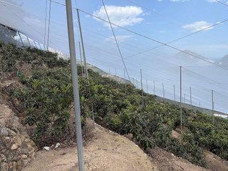 Casa rural en venta en Polop