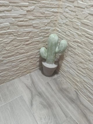 Maceta Cactus Piedra