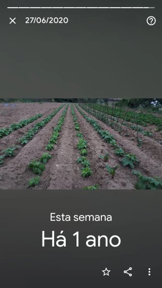 Casa com terreno