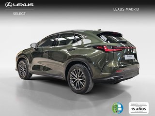 Lexus NX 350h Business City 2WD
