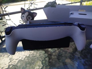 PlayStation portal.