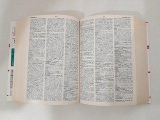 Il Kovalev dizionario russo italiano Zanichelli