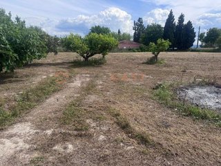 Chalet en venta en Olleria (l´)