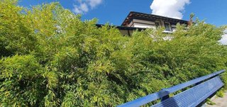 Casa pareada en venta en Matiko-Ciudad Jardín en Bilbao
