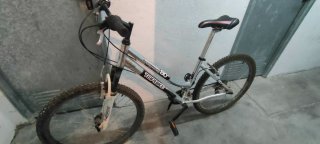 Bicicleta de montaña plateada