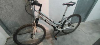 Bicicleta de montaña plateada