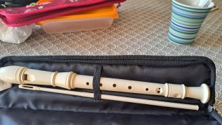 Flauta escolar con funda