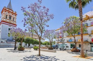 Chalet en venta en Sanlúcar la Mayor