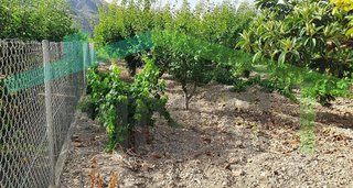 Casa rural en venta en Orxeta
