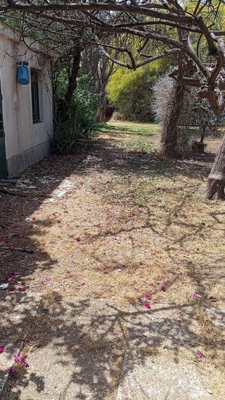 Chalet en venta en Santa Clara en Sevilla
