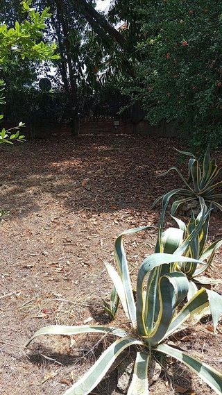 Chalet en venta en Santa Clara en Sevilla