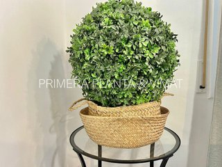Piso en venta en Canet de Mar