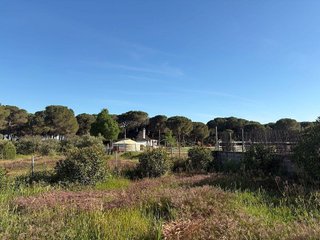 Casa rural en venta en Almonte en Almonte