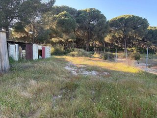 Casa rural en venta en Almonte en Almonte
