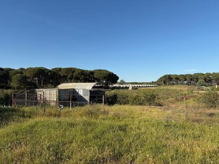 Casa rural en venta en Almonte en Almonte